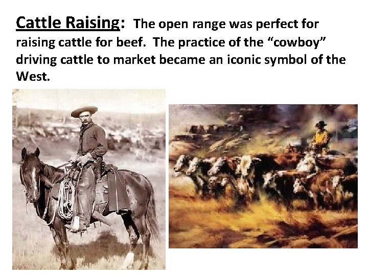 Cattle Raising: The open range was perfect for raising cattle for beef. The practice