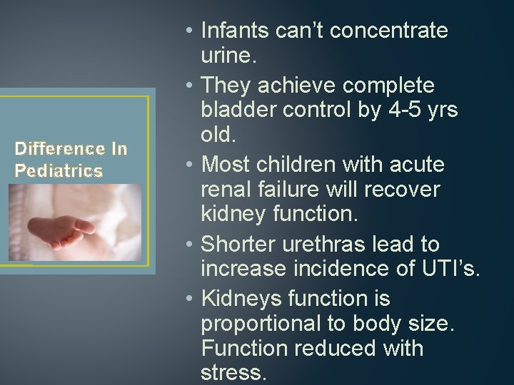 Difference In Pediatrics • Infants can’t concentrate urine. • They achieve complete bladder control