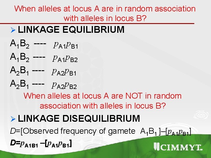 When alleles at locus A are in random association with alleles in locus B?