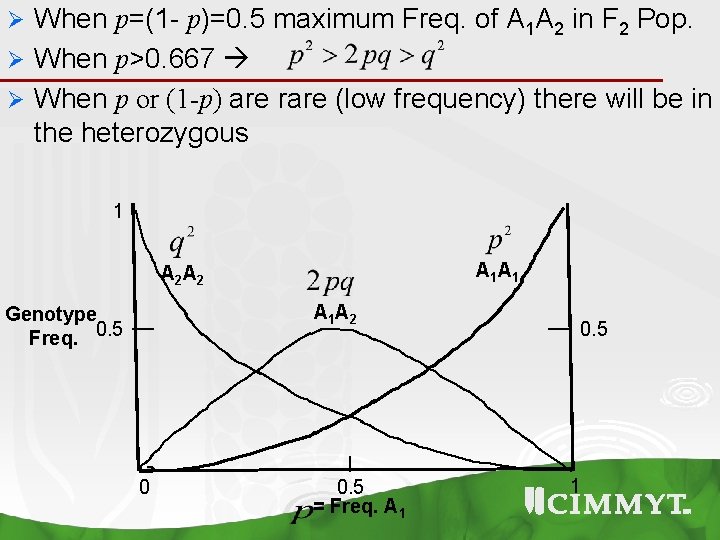 When p=(1 - p)=0. 5 maximum Freq. of A 1 A 2 in F