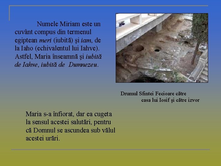 Numele Miriam este un cuvânt compus din termenul egiptean meri (iubită) şi iam, de