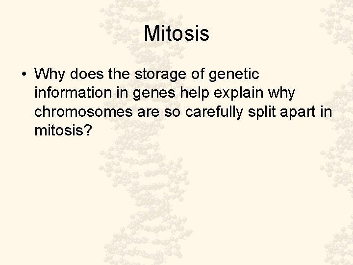 Mitosis • Why does the storage of genetic information in genes help explain why