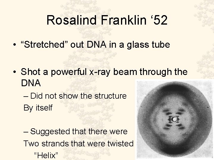 Rosalind Franklin ‘ 52 • “Stretched” out DNA in a glass tube • Shot