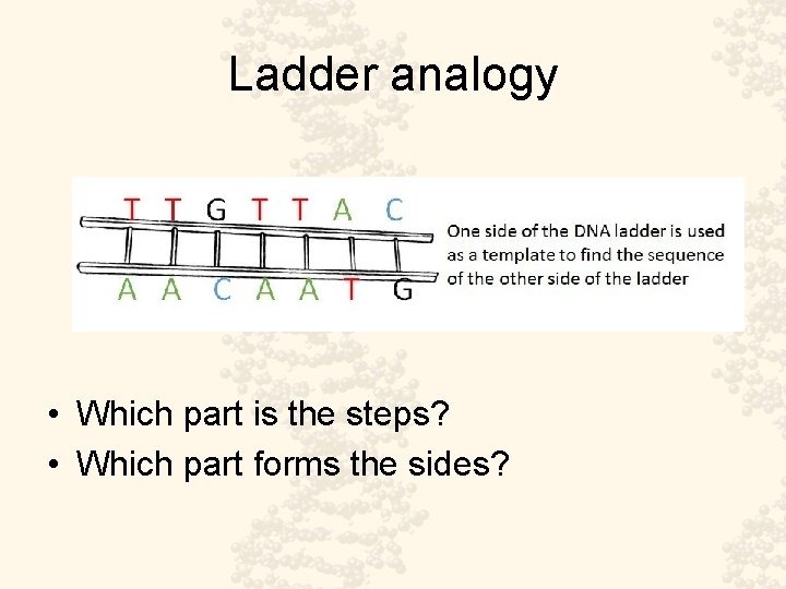 Ladder analogy • Which part is the steps? • Which part forms the sides?