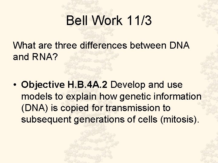 Bell Work 11/3 What are three differences between DNA and RNA? • Objective H.