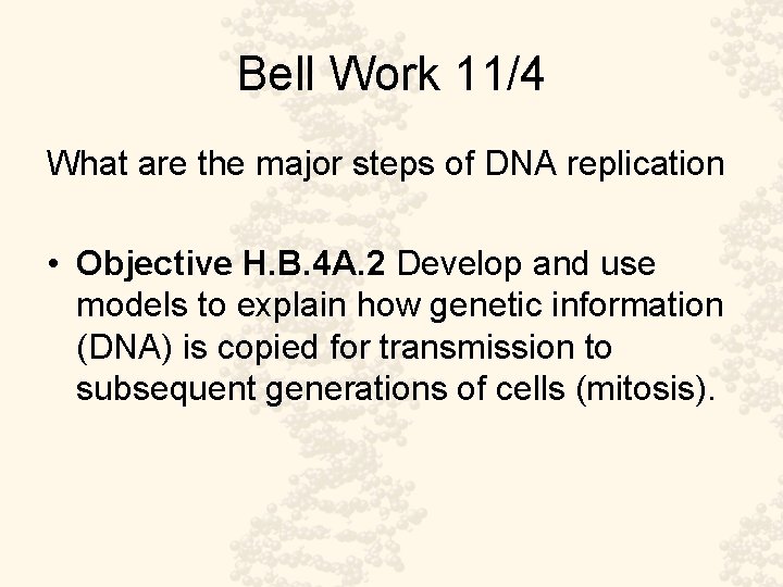 Bell Work 11/4 What are the major steps of DNA replication • Objective H.