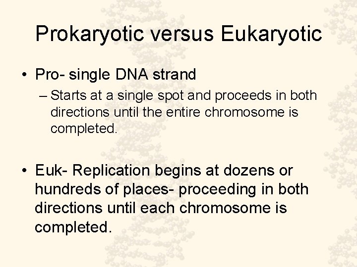 Prokaryotic versus Eukaryotic • Pro- single DNA strand – Starts at a single spot