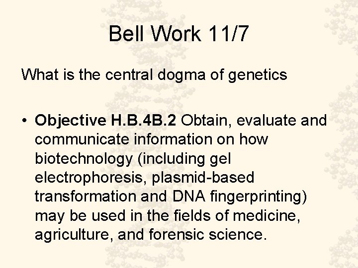 Bell Work 11/7 What is the central dogma of genetics • Objective H. B.