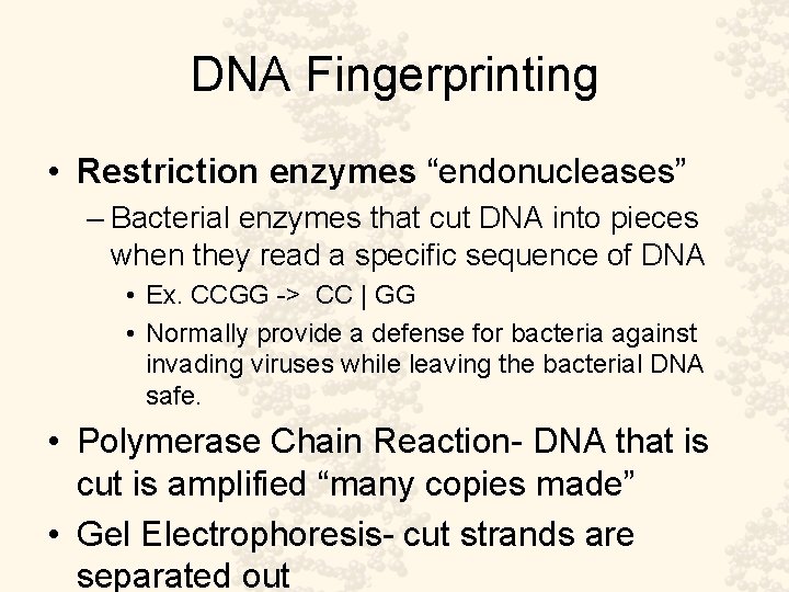 DNA Fingerprinting • Restriction enzymes “endonucleases” – Bacterial enzymes that cut DNA into pieces