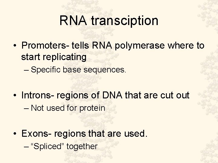 RNA transciption • Promoters- tells RNA polymerase where to start replicating – Specific base