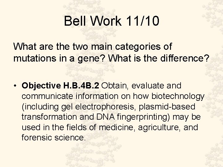 Bell Work 11/10 What are the two main categories of mutations in a gene?