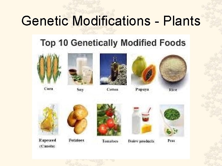 Genetic Modifications - Plants 