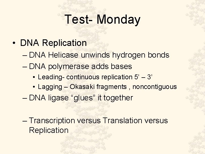 Test- Monday • DNA Replication – DNA Helicase unwinds hydrogen bonds – DNA polymerase