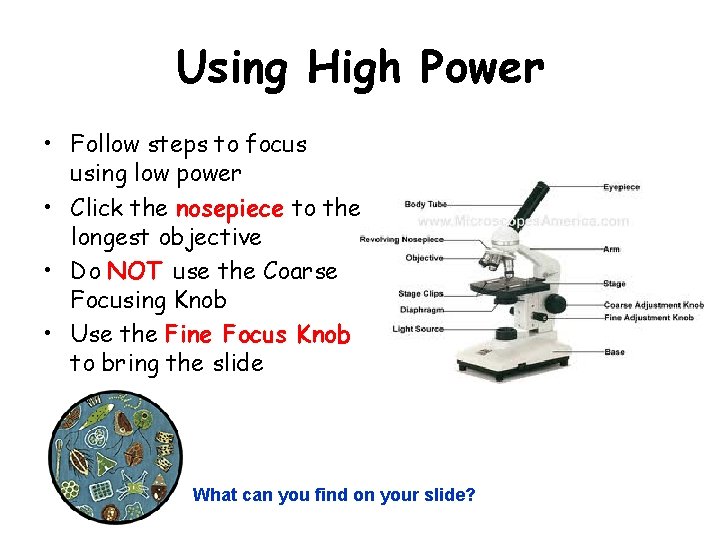 Using High Power • Follow steps to focus using low power • Click the