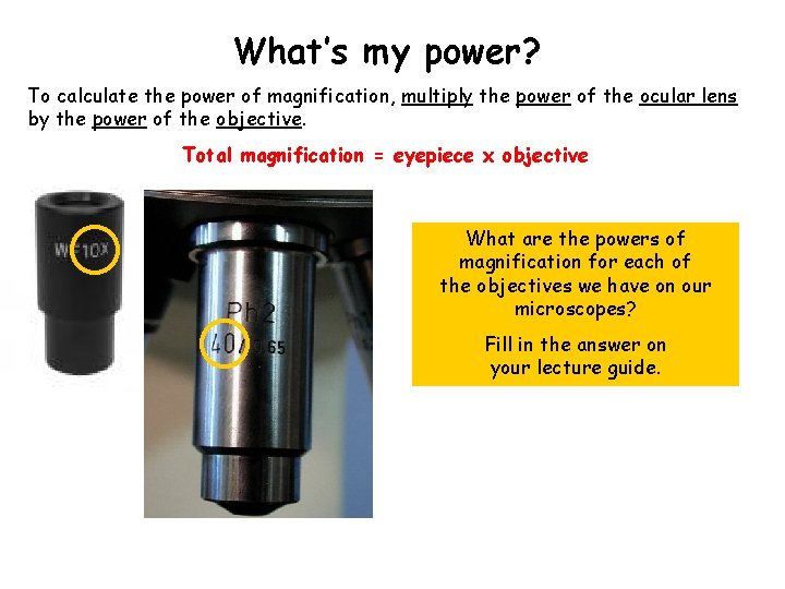 What’s my power? To calculate the power of magnification, multiply the power of the