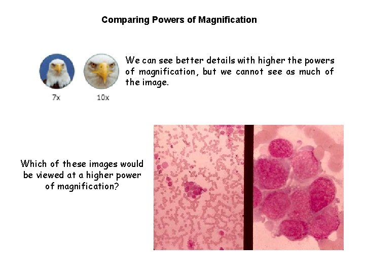 Comparing Powers of Magnification We can see better details with higher the powers of