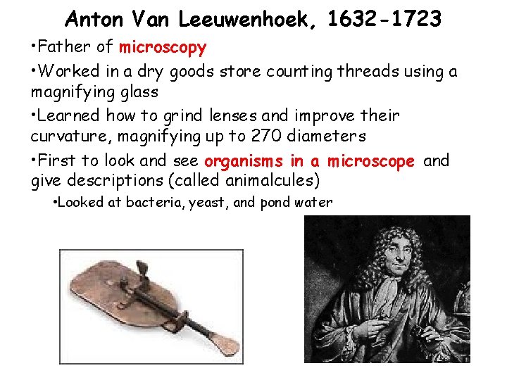 Anton Van Leeuwenhoek, 1632 -1723 • Father of microscopy • Worked in a dry