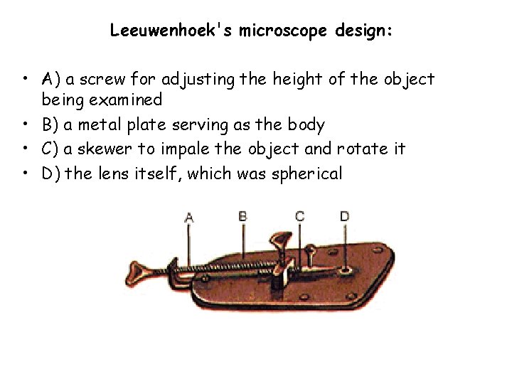 Leeuwenhoek's microscope design: • A) a screw for adjusting the height of the object