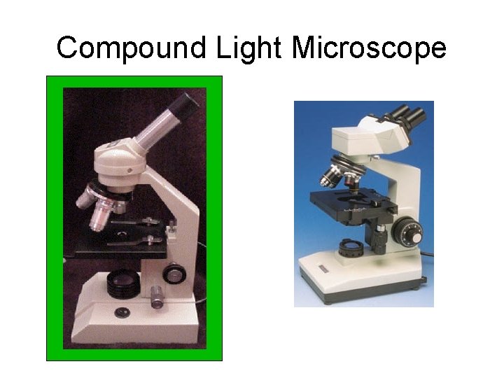 Compound Light Microscope 
