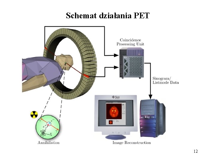 Schemat działania PET 12 