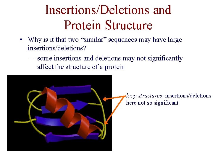 Insertions/Deletions and Protein Structure • Why is it that two “similar” sequences may have