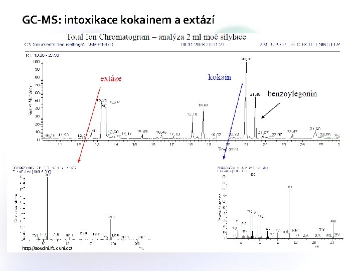 GC-MS: intoxikace kokainem a extází http: //soudni. lf 1. cuni. cz/ 