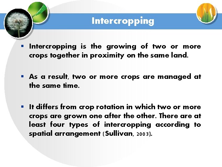 Intercropping § Intercropping is the growing of two or more crops together in proximity