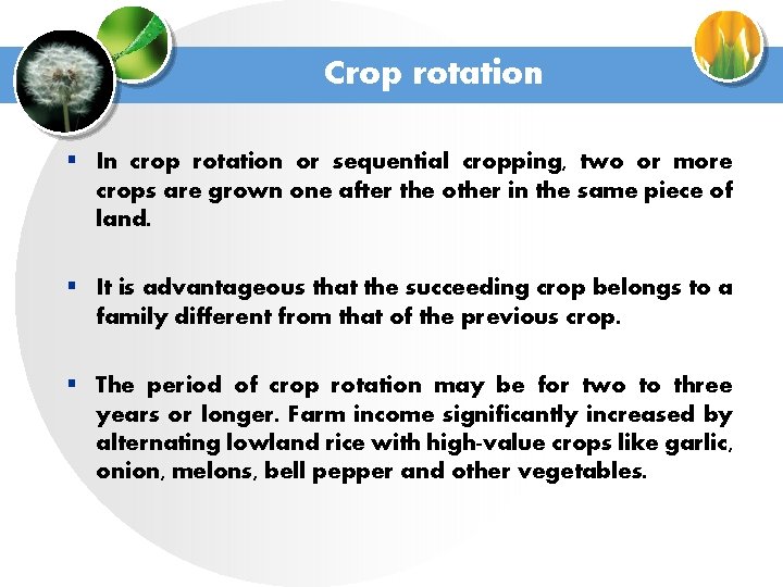 Crop rotation § In crop rotation or sequential cropping, two or more crops are