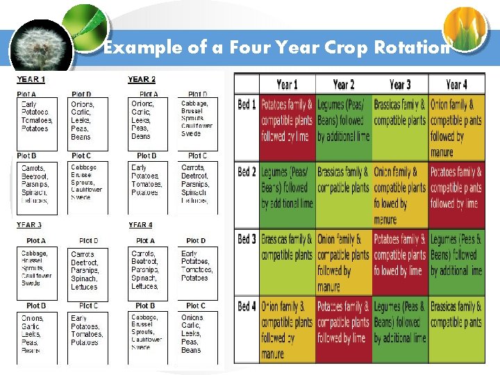 Example of a Four Year Crop Rotation 