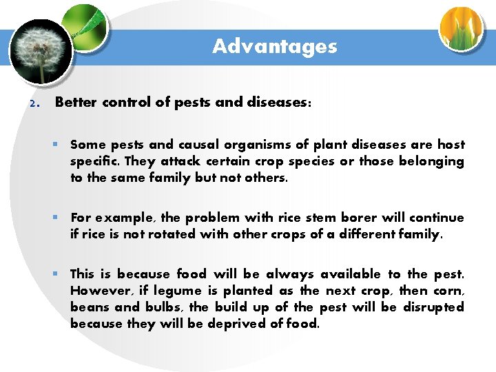 Advantages 2. Better control of pests and diseases: § Some pests and causal organisms