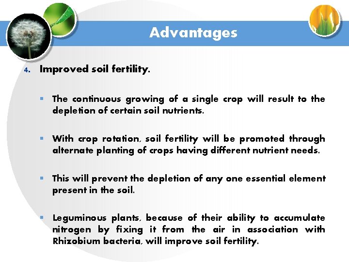 Advantages 4. Improved soil fertility. § The continuous growing of a single crop will