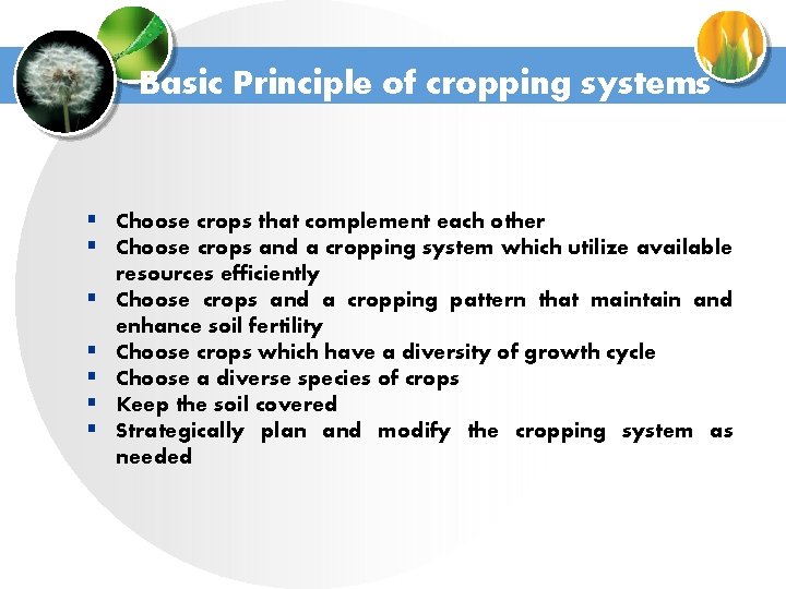 Basic Principle of cropping systems § Choose crops that complement each other § Choose