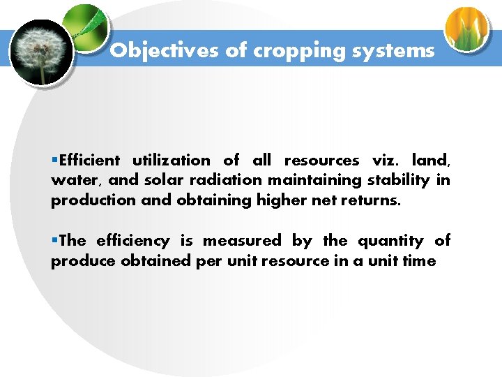 Objectives of cropping systems §Efficient utilization of all resources viz. land, water, and solar