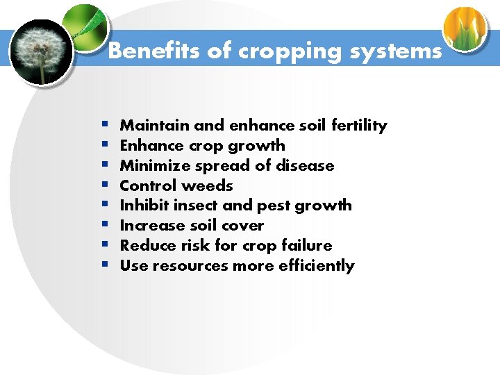 Benefits of cropping systems § § § § Maintain and enhance soil fertility Enhance