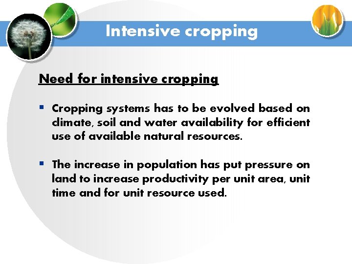 Intensive cropping Need for intensive cropping § Cropping systems has to be evolved based