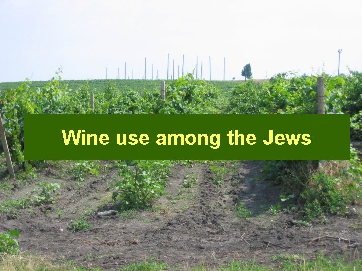 Wine use among the Jews 