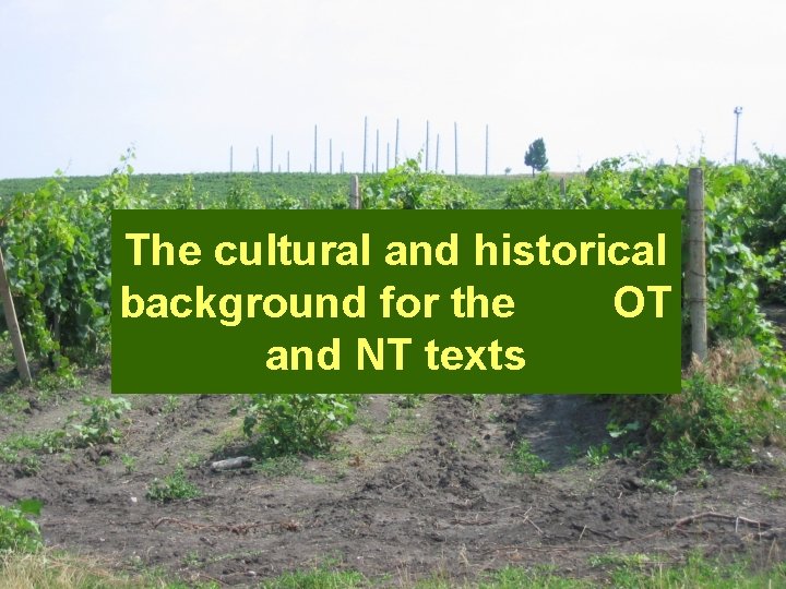 The cultural and historical background for the OT and NT texts 