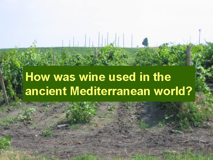 How was wine used in the ancient Mediterranean world? 