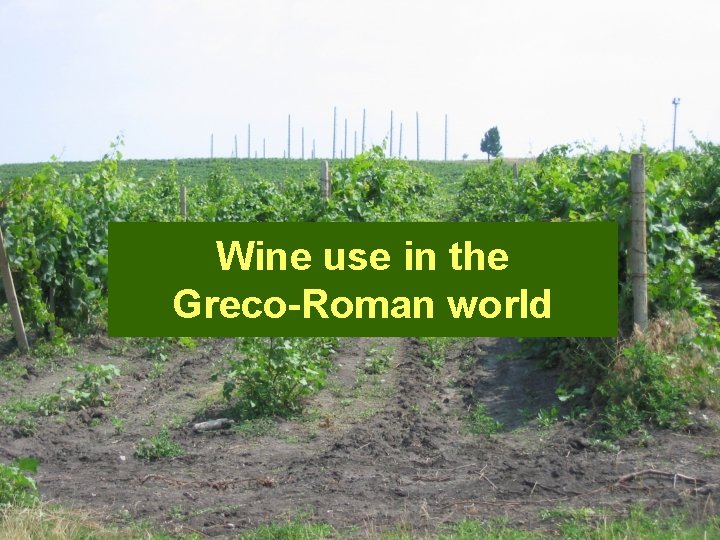 Wine use in the Greco-Roman world 