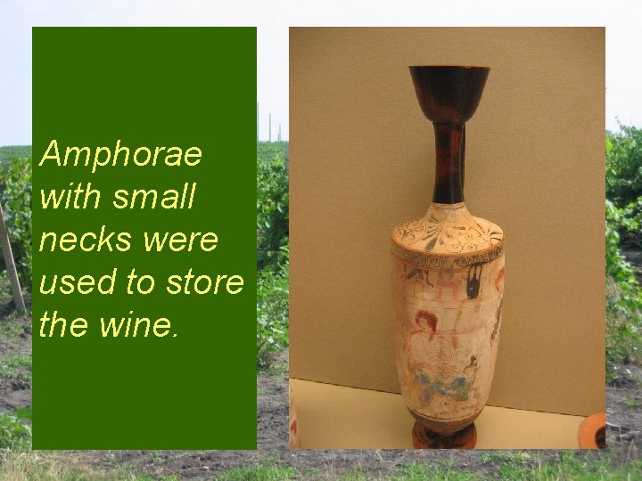 Amphorae with small necks were used to store the wine. 