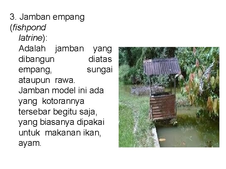 3. Jamban empang (fishpond latrine): Adalah jamban yang dibangun diatas empang, sungai ataupun rawa.