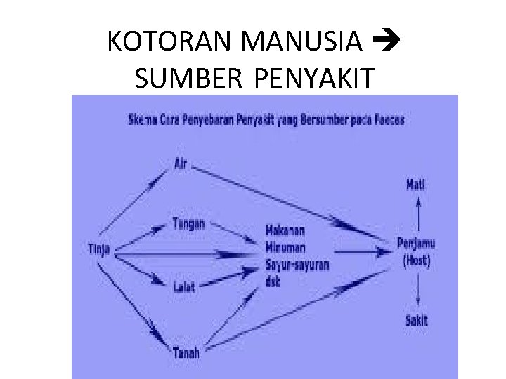 KOTORAN MANUSIA SUMBER PENYAKIT 