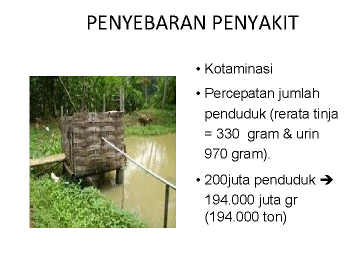 PENYEBARAN PENYAKIT • Kotaminasi • Percepatan jumlah penduduk (rerata tinja = 330 gram &