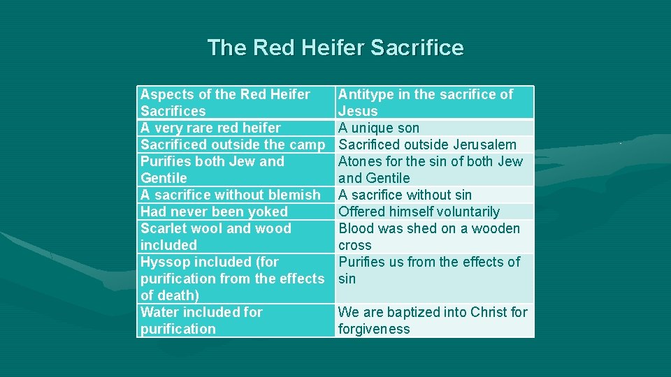 The Red Heifer Sacrifice Aspects of the Red Heifer Sacrifices A very rare red