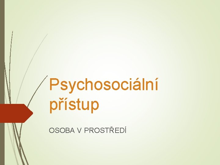 Psychosociální přístup OSOBA V PROSTŘEDÍ 