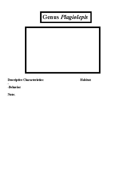 Genus Plagiolepis Descriptive Characteristics: -Behavior Note: . Habitat: 