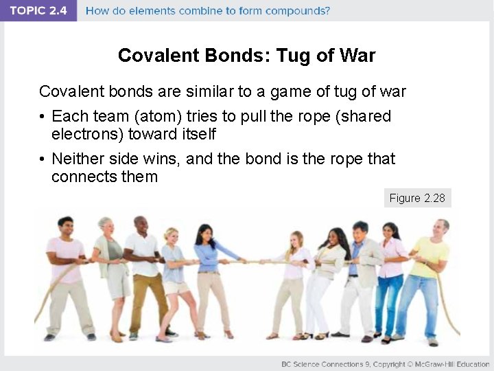 Covalent Bonds: Tug of War Covalent bonds are similar to a game of tug