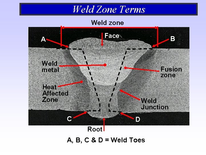 Weld Zone Terms Weld zone Face A B Weld metal Fusion zone Heat Affected Weld Zone Terms Weld zone Face A B Weld metal Fusion zone Heat Affected