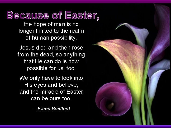 Because of Easter, the hope of man is no longer limited to the realm