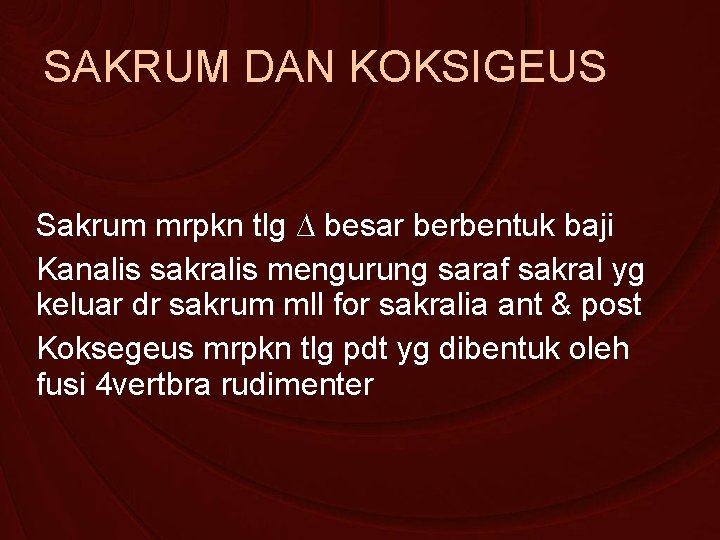 SAKRUM DAN KOKSIGEUS Sakrum mrpkn tlg ∆ besar berbentuk baji Kanalis sakralis mengurung saraf